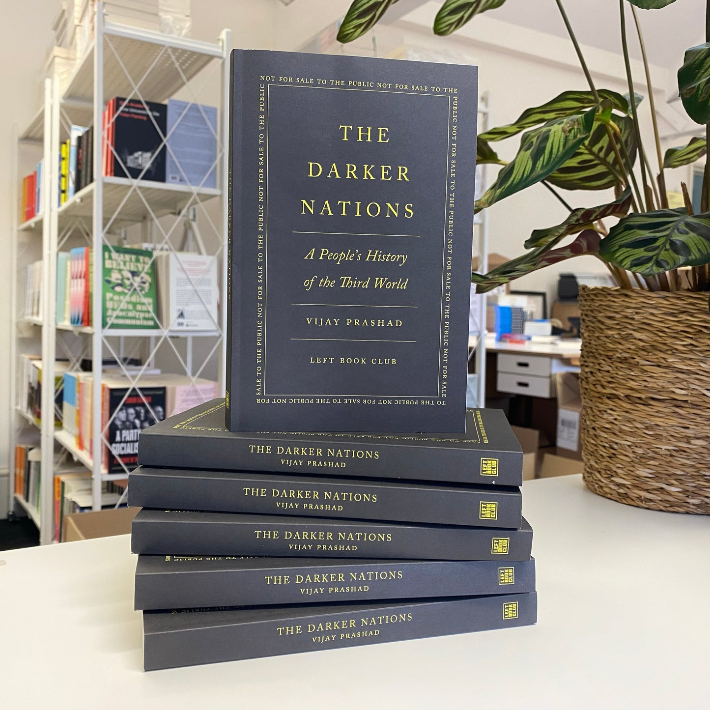 Exploring Radical History Bundle